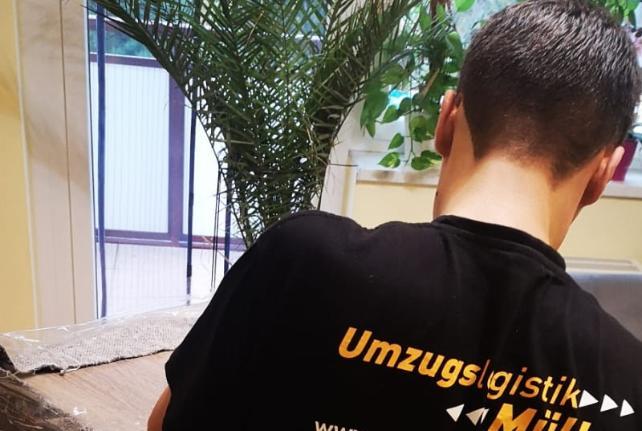 Laborumzug Oberschöna stressfrei umziehen 